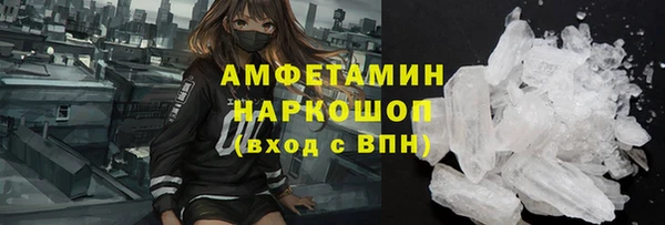 СК Новодвинск
