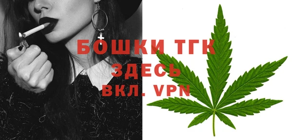mdpv Новозыбков