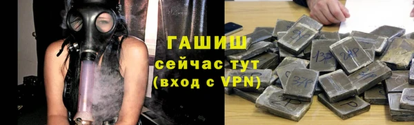 СК Новодвинск