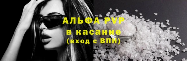 СК Новодвинск