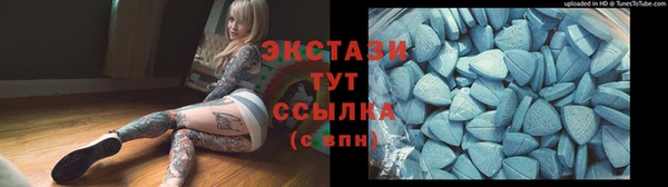 СК Новодвинск