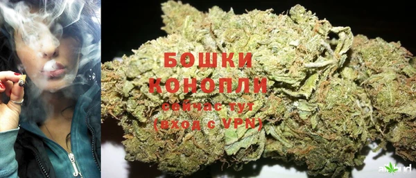 mdpv Новозыбков