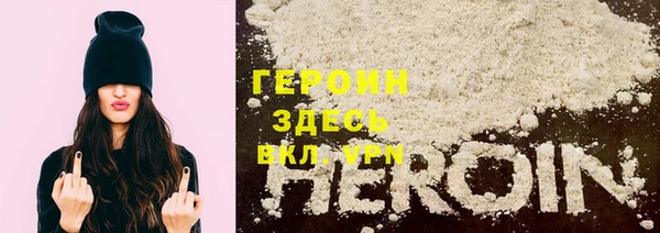 СК Новодвинск