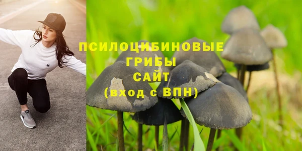 СК Новодвинск