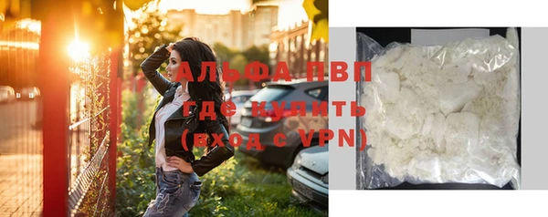 СК Новодвинск